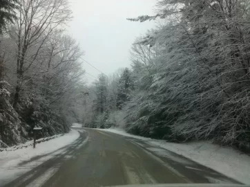 [Hearth.com] An inch of snow!