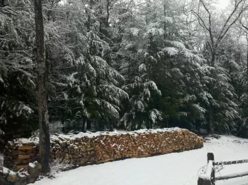 [Hearth.com] An inch of snow!