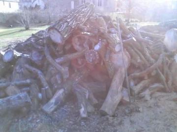 [Hearth.com] 70% Ash, 20% Elm and 10% Oak, split