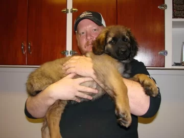 [Hearth.com] Life wasn't challenging enough. (new pup)