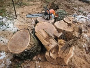 [Hearth.com] First Sucessful Scronge