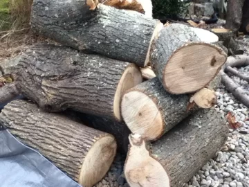 [Hearth.com] free wood ID?