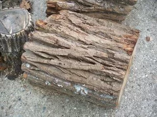 [Hearth.com] OK GUYS, WHATS THIS?
