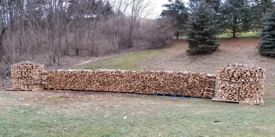[Hearth.com] Making Progress + a HH  (lots of Pics)