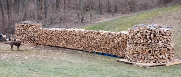 [Hearth.com] Making Progress + a HH  (lots of Pics)
