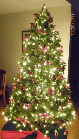 [Hearth.com] Got a xmas tree? Show us what you gots....