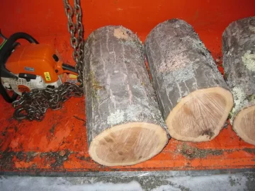 [Hearth.com] Wood ID pic.  Thought it was oak