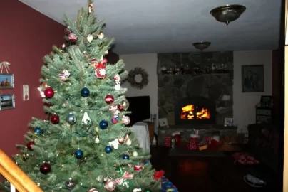 [Hearth.com] Got a xmas tree? Show us what you gots....