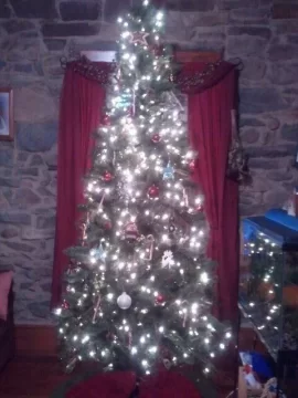 [Hearth.com] Got a xmas tree? Show us what you gots....