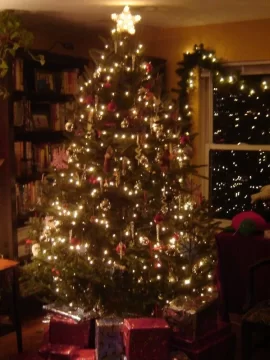 [Hearth.com] Got a xmas tree? Show us what you gots....