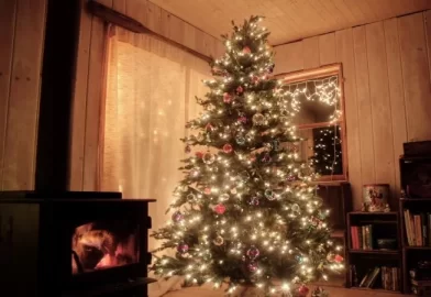 [Hearth.com] Got a xmas tree? Show us what you gots....
