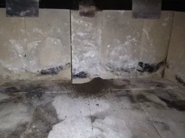 [Hearth.com] My First Sweep