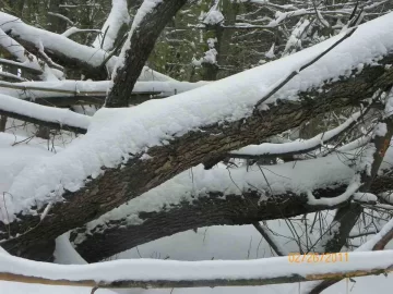 [Hearth.com] Starts On Saturday