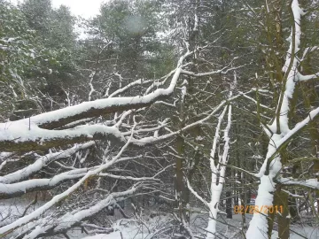 [Hearth.com] Starts On Saturday