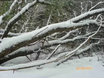 [Hearth.com] Starts On Saturday