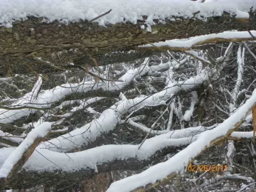 [Hearth.com] Starts On Saturday