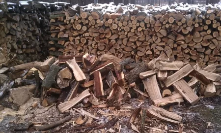 [Hearth.com] Added some color to the woodpile