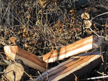 [Hearth.com] Help with Wood ID