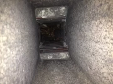 [Hearth.com] Bricked in Fireplace help