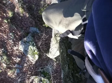 [Hearth.com] Some tree climbing