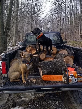 [Hearth.com] Unusual warm WV day wood scrounge