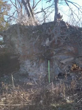 [Hearth.com] Big oak down