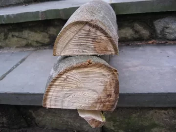 [Hearth.com] ID please