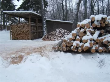 [Hearth.com] Gettin the Wood Storage Area Shaped Up