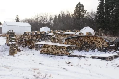 [Hearth.com] all my wood stacks
