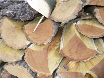 [Hearth.com] Curious as to what this wood is?  My X27 went thru it like butter.