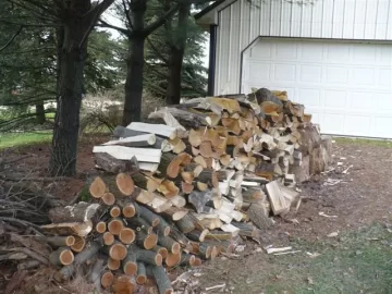 [Hearth.com] Curious as to what this wood is?  My X27 went thru it like butter.