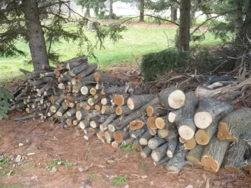 [Hearth.com] Curious as to what this wood is?  My X27 went thru it like butter.