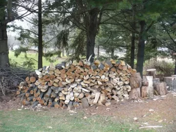 [Hearth.com] Curious as to what this wood is?  My X27 went thru it like butter.