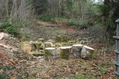 [Hearth.com] Just in time, pics of the first gathering of firewood.