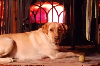 [Hearth.com] New Oslo questions