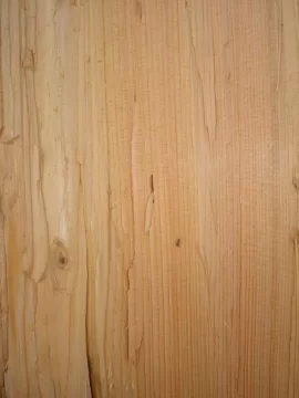 [Hearth.com] I've Seen Bug Holes But Never Whole Bugs!  Is This A Problem?