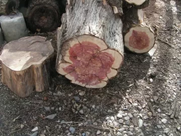[Hearth.com] Not a steak, but wood... Pink Center?