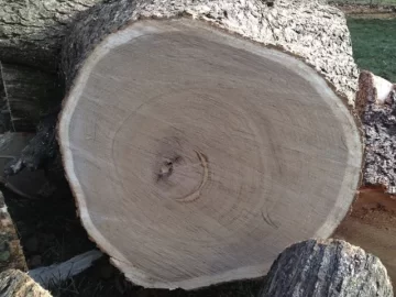[Hearth.com] Wood ID?
