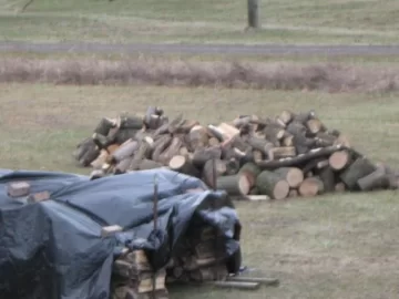 [Hearth.com] Scrounge from the back yard