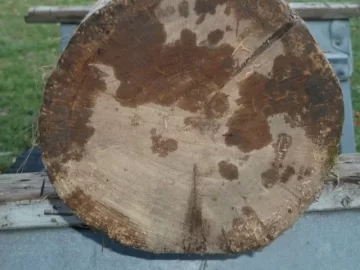 [Hearth.com] old growth mantel