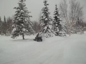 [Hearth.com] Too much snow !!!