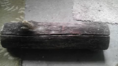 [Hearth.com] Dead elm