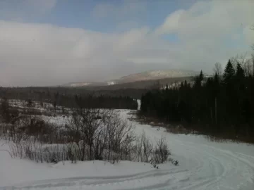 [Hearth.com] Snowmobiling on Januaray 8 in CT