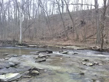 [Hearth.com] rivers edge scrounge