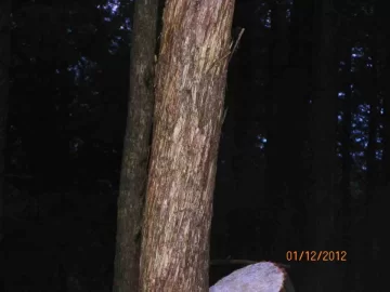 [Hearth.com] Two Loads Off The Hill