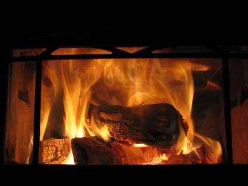 [Hearth.com] Took her to 750Â°