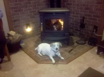 [Hearth.com] Gone To The Dogs