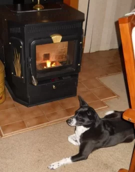 [Hearth.com] Full cleaning done, just in time for the cold.....w/ cozy pic.