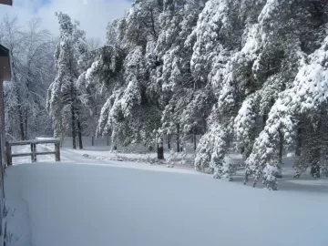 [Hearth.com] Snow day #2 for the kids. Holy crap! What a storm this turned into. No power all day. New pics added