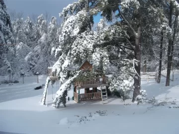 [Hearth.com] Snow day #2 for the kids. Holy crap! What a storm this turned into. No power all day. New pics added